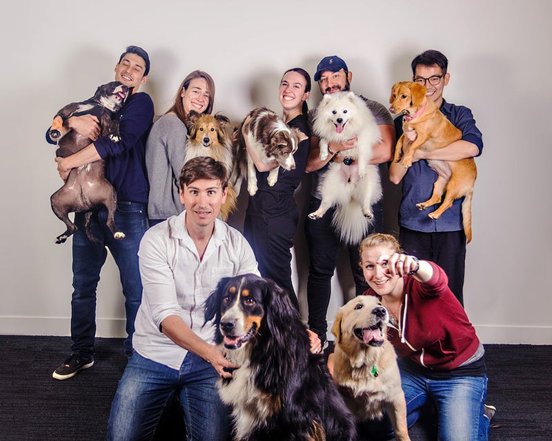 Group of people holding their dogs